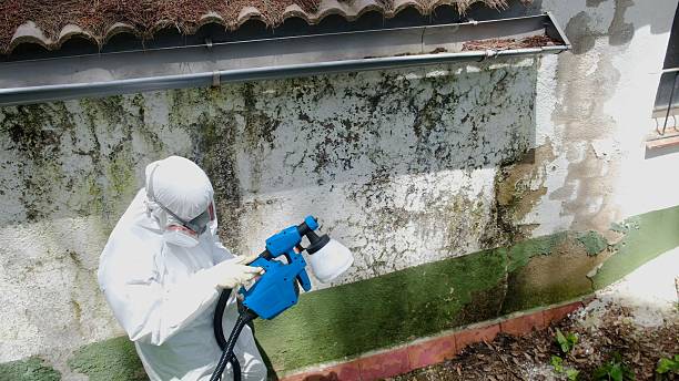 Mold Removal service in Livingston